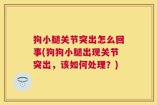 狗小腿关节突出怎么回事(狗狗小腿出现关节突出，该如何处理？)