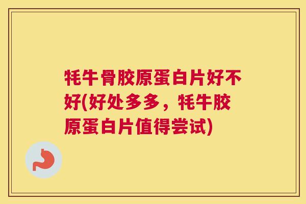 牦牛骨胶原蛋白片好不好(好处多多，牦牛胶原蛋白片值得尝试)