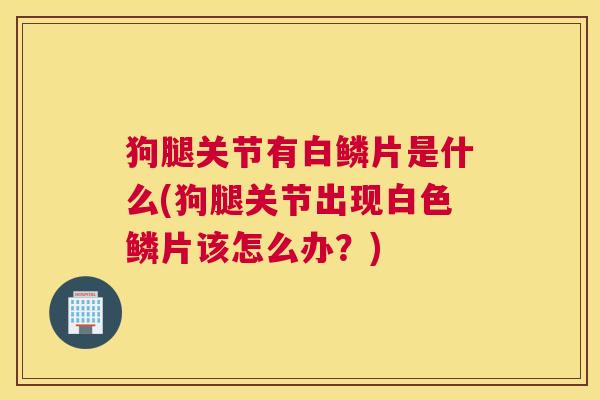 狗腿关节有白鳞片是什么(狗腿关节出现白色鳞片该怎么办？)
