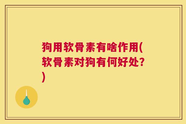 狗用软骨素有啥作用(软骨素对狗有何好处？)