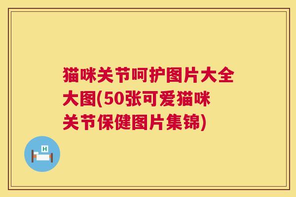 猫咪关节呵护图片大全大图(50张可爱猫咪关节保健图片集锦)
