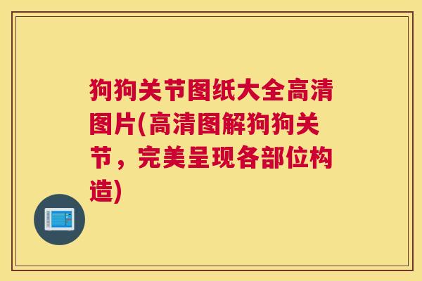 狗狗关节图纸大全高清图片(高清图解狗狗关节，完美呈现各部位构造)