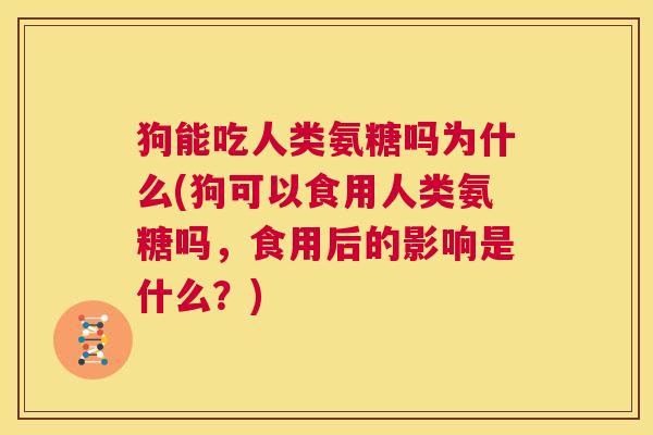 狗能吃人类氨糖吗为什么(狗可以食用人类氨糖吗，食用后的影响是什么？)