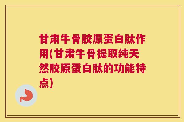 甘肃牛骨胶原蛋白肽作用(甘肃牛骨提取纯天然胶原蛋白肽的功能特点)