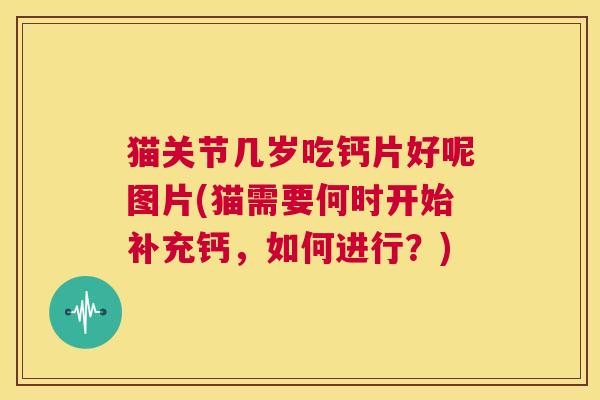 猫关节几岁吃钙片好呢图片(猫需要何时开始补充钙，如何进行？)