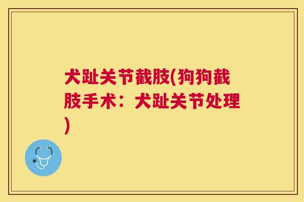 犬趾关节截肢(狗狗截肢手术：犬趾关节处理)