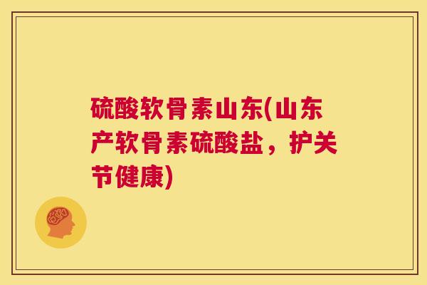 硫酸软骨素山东(山东产软骨素硫酸盐，护关节健康)
