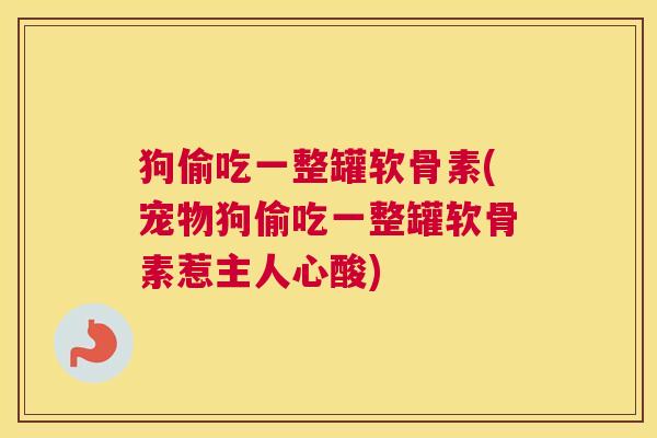 狗偷吃一整罐软骨素(宠物狗偷吃一整罐软骨素惹主人心酸)