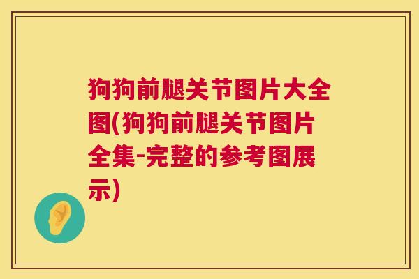 狗狗前腿关节图片大全图(狗狗前腿关节图片全集-完整的参考图展示)