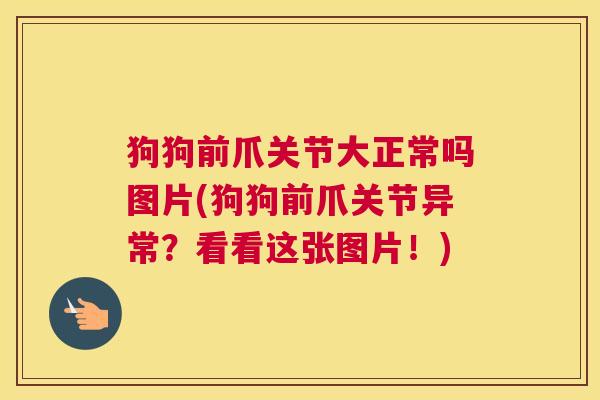 狗狗前爪关节大正常吗图片(狗狗前爪关节异常？看看这张图片！)