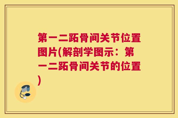 第一二跖骨间关节位置图片(解剖学图示:第一二跖骨间关节的位置) 第一二跖骨间关节位置图片(解剖学图示:第一二跖骨间关节的位置)