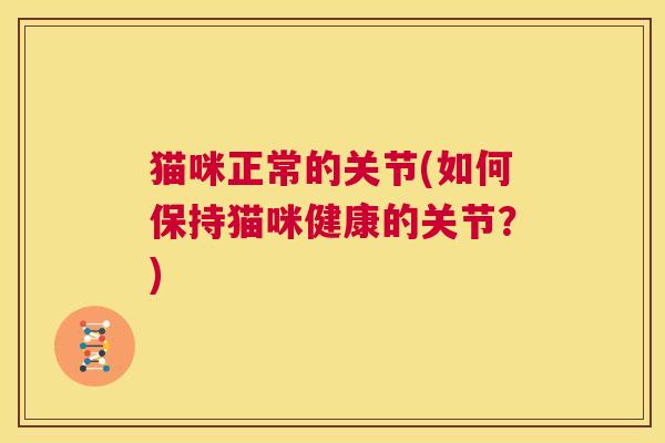 猫咪正常的关节(如何保持猫咪健康的关节？)