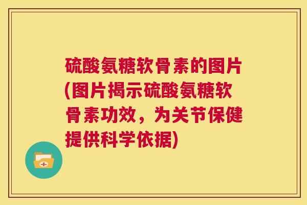 硫酸氨糖软骨素的图片(图片揭示硫酸氨糖软骨素功效，为关节保健提供科学依据)