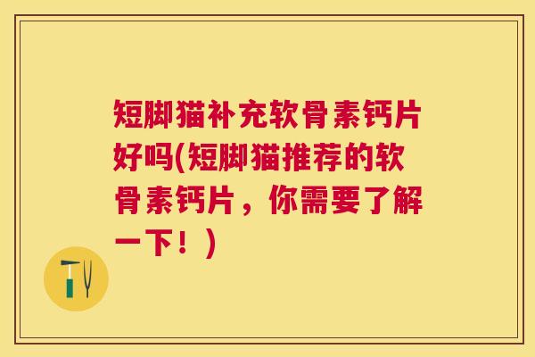 短脚猫补充软骨素钙片好吗(短脚猫推荐的软骨素钙片，你需要了解一下！)