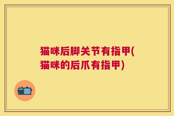猫咪后脚关节有指甲(猫咪的后爪有指甲)
