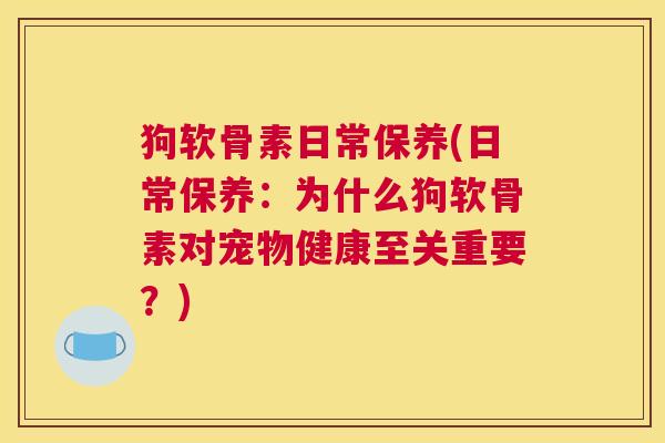 狗软骨素日常保养(日常保养：为什么狗软骨素对宠物健康至关重要？)