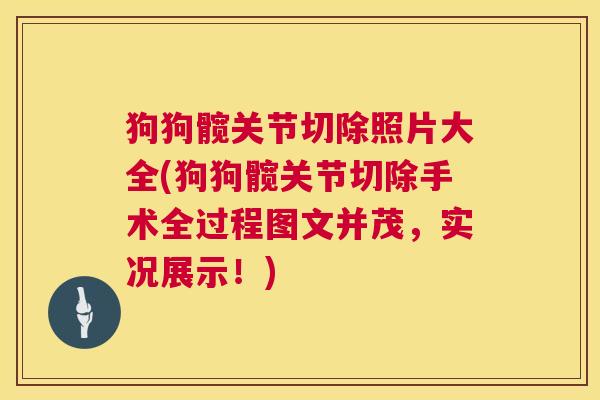 狗狗髋关节切除照片大全(狗狗髋关节切除手术全过程图文并茂，实况展示！)