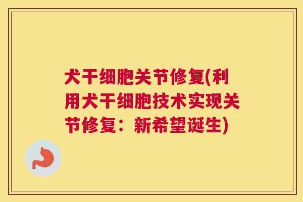 犬干细胞关节修复(利用犬干细胞技术实现关节修复：新希望诞生)