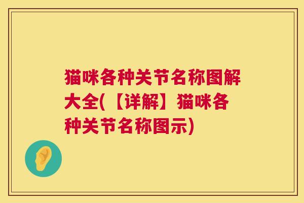 猫咪各种关节名称图解大全(【详解】猫咪各种关节名称图示)