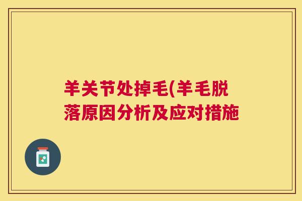 羊关节处掉毛(羊毛脱落原因分析及应对措施