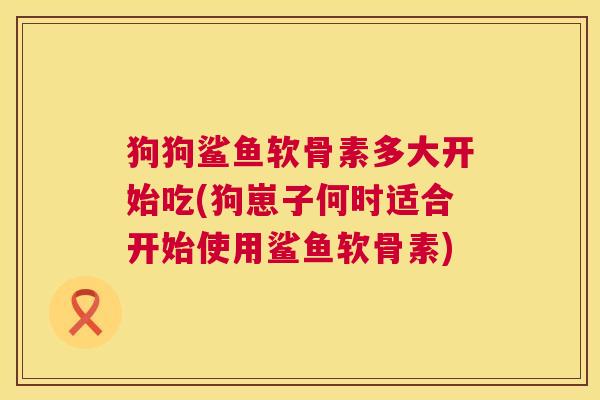 狗狗鲨鱼软骨素多大开始吃(狗崽子何时适合开始使用鲨鱼软骨素)