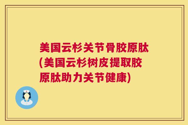 美国云杉关节骨胶原肽(美国云杉树皮提取胶原肽助力关节健康)