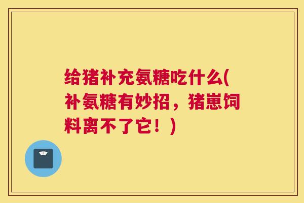 给猪补充氨糖吃什么(补氨糖有妙招，猪崽饲料离不了它！)