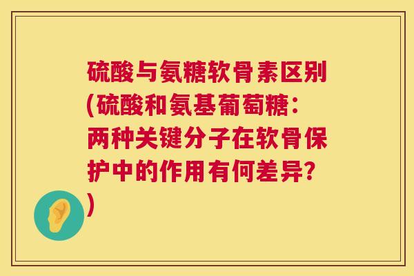 硫酸与氨糖软骨素区别(硫酸和氨基葡萄糖：两种关键分子在软骨保护中的作用有何差异？)