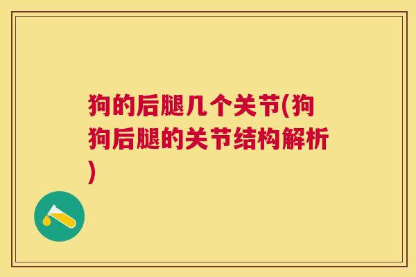 狗的后腿几个关节(狗狗后腿的关节结构解析)