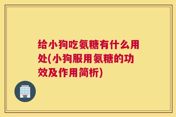 给小狗吃氨糖有什么用处(小狗服用氨糖的功效及作用简析)