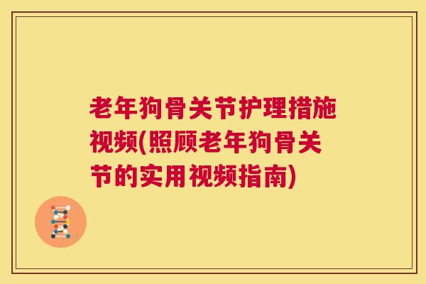 老年狗骨关节护理措施视频(照顾老年狗骨关节的实用视频指南)
