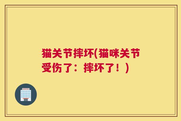 猫关节摔坏(猫咪关节受伤了：摔坏了！)