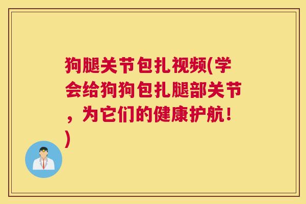 狗腿关节包扎视频(学会给狗狗包扎腿部关节,为它们的健康护航!) 狗腿关节包扎视频(学会给狗狗包扎腿部关节,为它们的健康护航!)