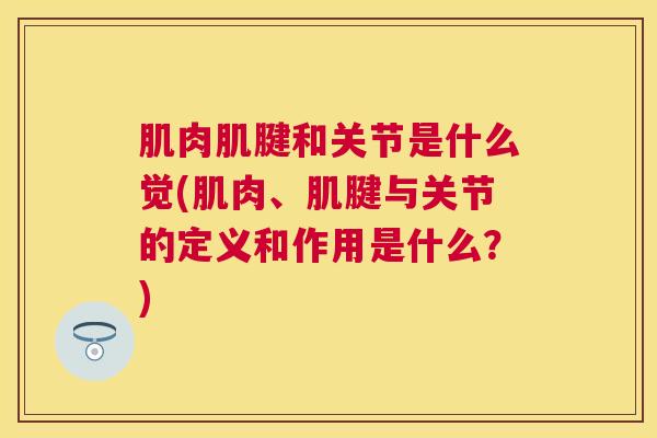 肌肉肌腱和关节是什么觉(肌肉、肌腱与关节的定义和作用是什么？)