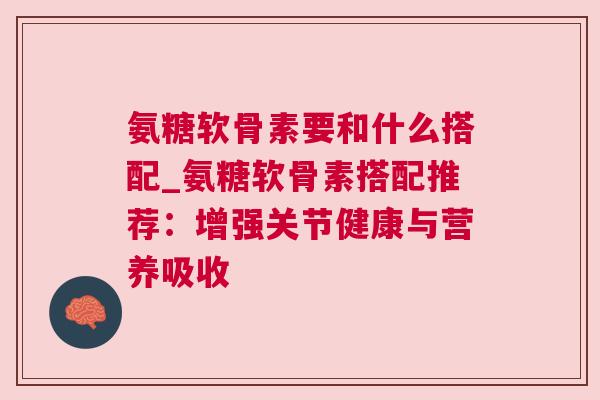 氨糖软骨素要和什么搭配_氨糖软骨素搭配推荐：增强关节健康与营养吸收