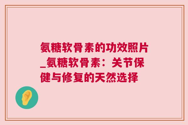 氨糖软骨素的功效照片_氨糖软骨素：关节保健与修复的天然选择