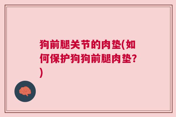 狗前腿关节的肉垫(如何保护狗狗前腿肉垫？)