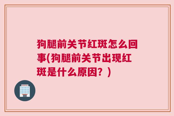 狗腿前关节红斑怎么回事(狗腿前关节出现红斑是什么原因?) 狗腿前关节红斑怎么回事(狗腿前关节出现红斑是什么原因?)