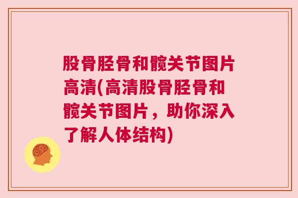 股骨胫骨和髋关节图片高清(高清股骨胫骨和髋关节图片，助你深入了解人体结构)