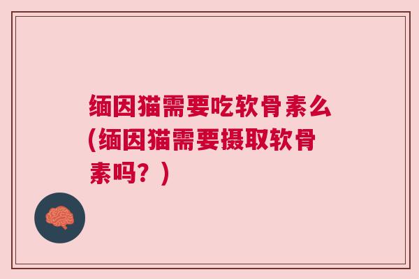 缅因猫需要吃软骨素么(缅因猫需要摄取软骨素吗？)