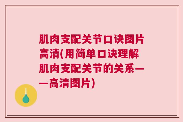 肌肉支配关节口诀图片高清(用简单口诀理解肌肉支配关节的关系——高清图片) 肌肉支配关节口诀图片高清(用简单口诀理解肌肉支配关节的关系——高清图片)