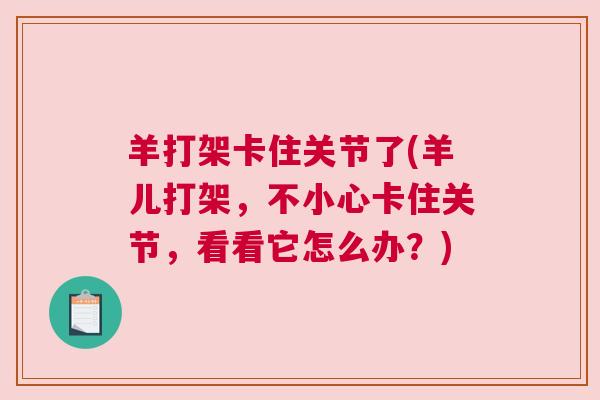 羊打架卡住关节了(羊儿打架，不小心卡住关节，看看它怎么办？)