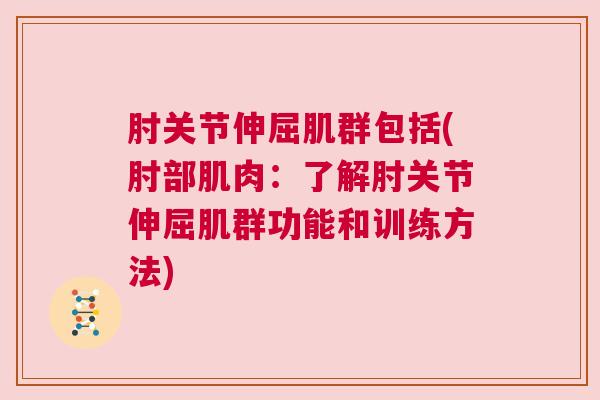 肘关节伸屈肌群包括(肘部肌肉：了解肘关节伸屈肌群功能和训练方法)
