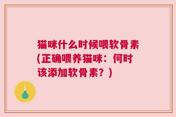 猫咪什么时候喂软骨素(正确喂养猫咪：何时该添加软骨素？)