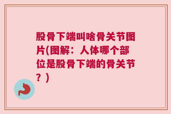 股骨下端叫啥骨关节图片(图解：人体哪个部位是股骨下端的骨关节？)