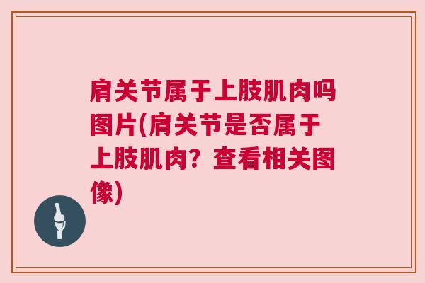 肩关节属于上肢肌肉吗图片(肩关节是否属于上肢肌肉？查看相关图像)