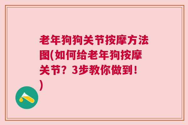 老年狗狗关节按摩方法图(如何给老年狗按摩关节？3步教你做到！)