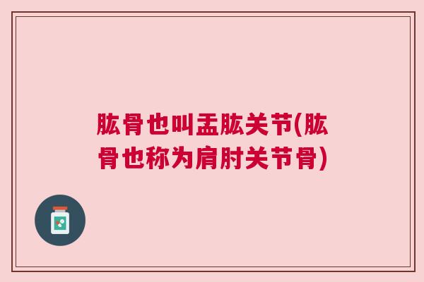 肱骨也叫盂肱关节(肱骨也称为肩肘关节骨)