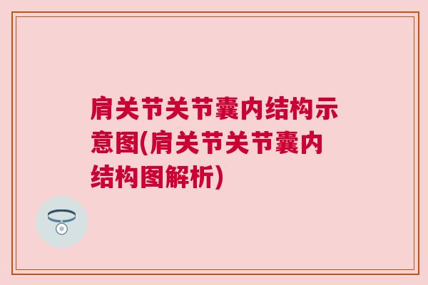 肩关节关节囊内结构示意图(肩关节关节囊内结构图解析)