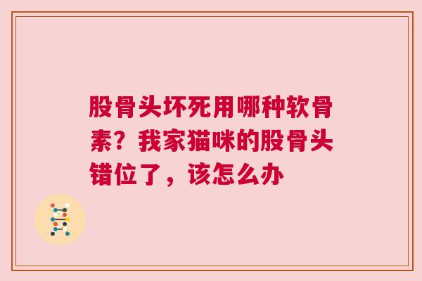 股骨头坏死用哪种软骨素？我家猫咪的股骨头错位了，该怎么办